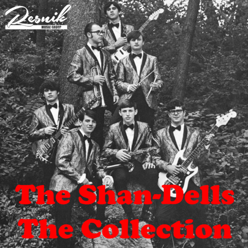 Featured image for “The Collection”