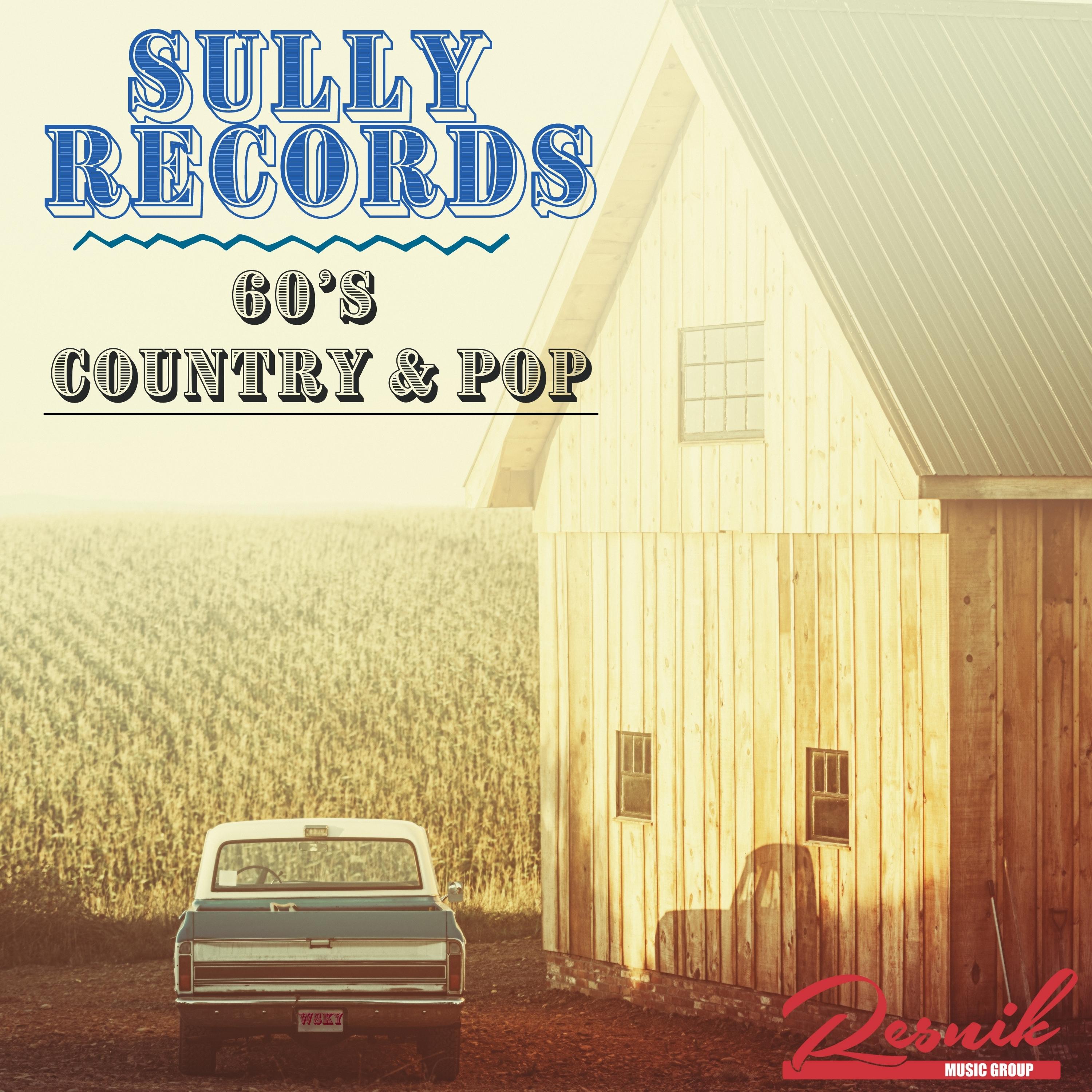 Featured image for “Sully Records”